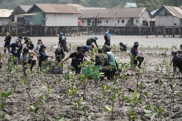 IMIP Padukan Pelestarian Mangrove dan Kemandirian Ekonomi Warga