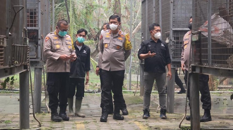 Kunjungi Nyaru Menteng, Polri Janji Perkuat Perlindungan Orang Utan