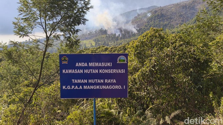 Wisata Karanganyar Masih Bergeliat Meski Ada Karhutla Gunung Lawu
