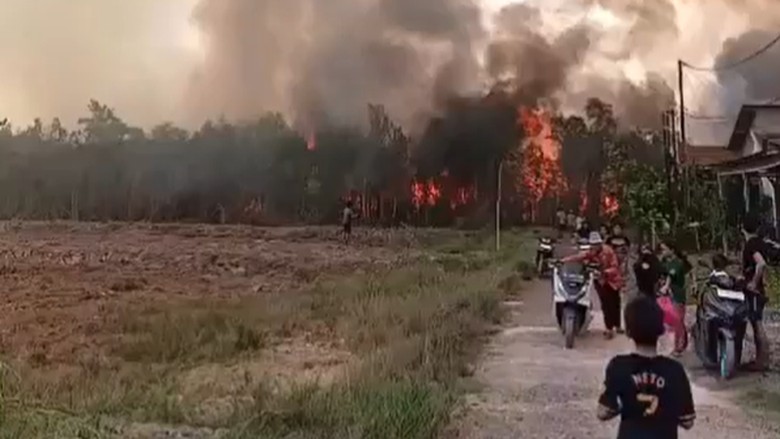 Video: Suasana Mencekam Karhutla Kepung Permukiman Warga di Barito Kuala