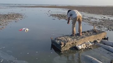 Limbah Tambak Udang Dibuang ke Laut Sumbawa, Pemprov NTB Ancam Sanksi Berat - Infolitik
