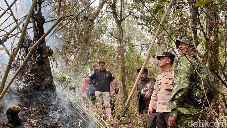 Medan Ekstrem Jadi Tantangan Padamkan Kebakaran Gunung Arjuno