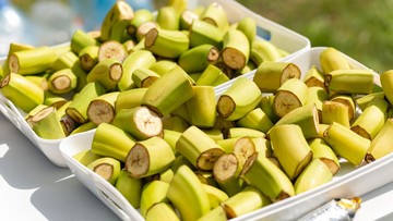 Kenapa Pisang Selalu Ada di Event Lari? Ini Alasan Logisnya - Infolitik