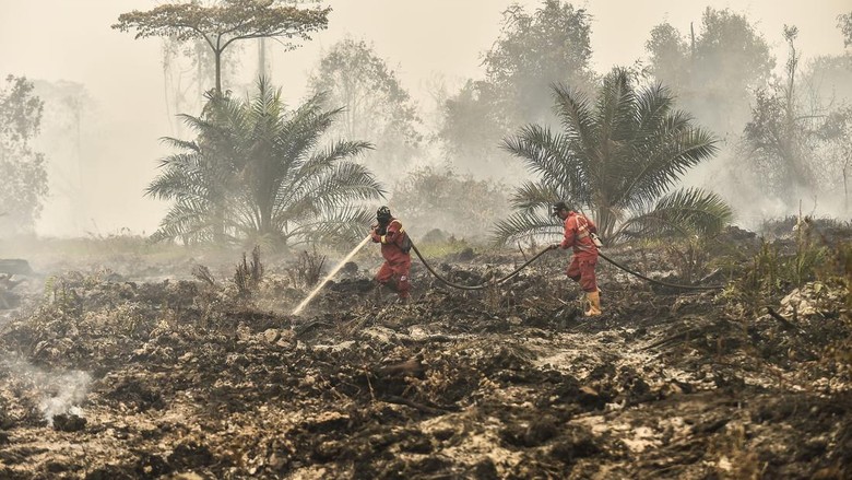 Video: 11 Korporasi Terafiliasi Asing Jadi Tersangka Karhutla