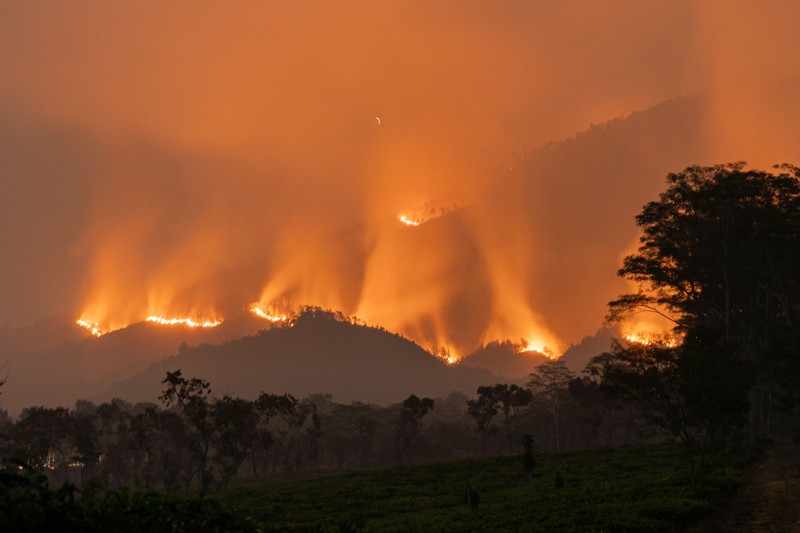 Bingkai Sepekan: Puncak Krisis Karhutla hingga Gejolak Pasar Saham