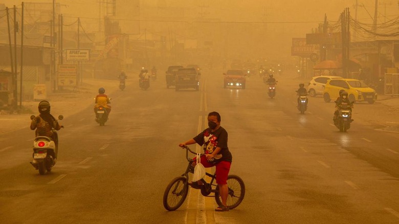 Video: IDI Minta Pemerintah Sediakan Masker untuk Warga Terdampak Karhutla