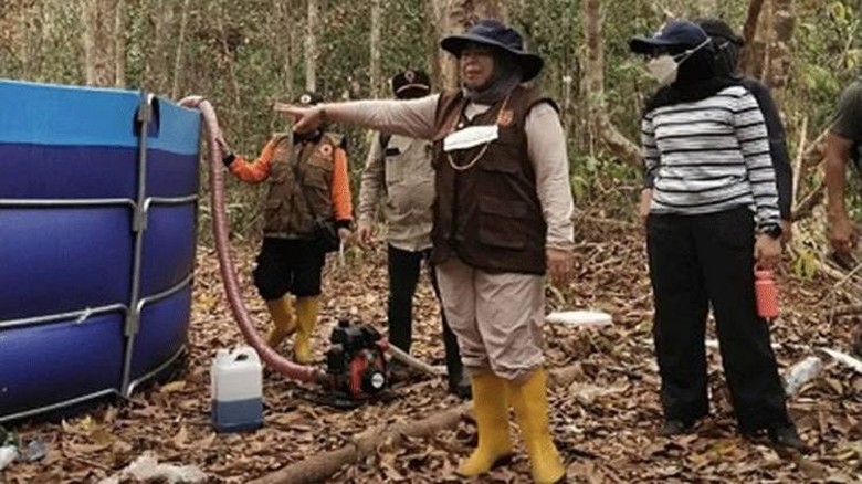 Bupati Nurhidayah Bermalam di Tanjung Puting, Relawan Karhutla Minta 3 Hal