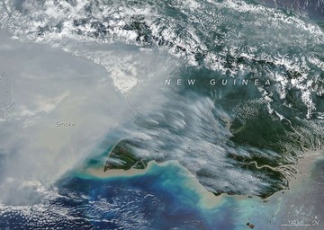 NASA Ungkap Kebakaran Papua, Asap Tebal Terlihat dari Satelit - Infolitik