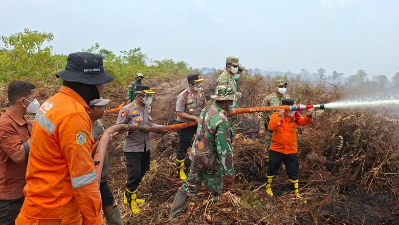 Patroli Udara, Satgas Temukan Tiga Titik Karhutla di TN Berbak Sembilang