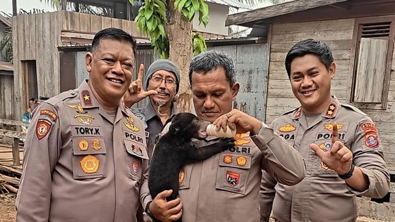 Polri Selamatkan Anak Beruang Madu dari Karhutla Kalteng