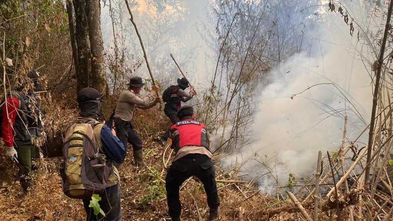 Karhutla Gunung Arjuno Malang-Kota Batu Sisakan 16 Titik Api