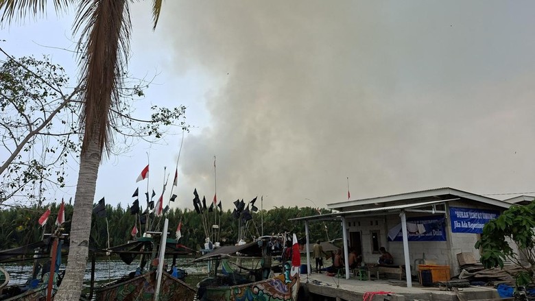 Asap Akibat Karhutla Way Kambas Ganggu Aktivitas Warga Kampung Cabang
