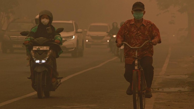 Video IDI: Paparan Kabut Asap Karhutla Jangka Panjang Bisa Picu Kanker