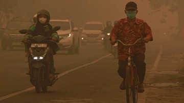 Kabut Asap Karhutla Menipis Usai Hujan, Begini Cara Alam Membersihkan Udara - Infolitik