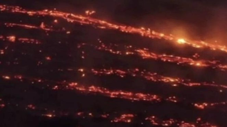 664 Hektare Eks Konsesi di Lamandau Terbakar, Sarana Pemadaman Jadi Sorotan