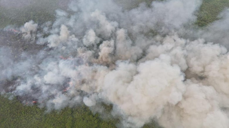 Kebakaran di TN Berbak Sembilang Jambi Meluas, Sumber Air Jadi Kendala