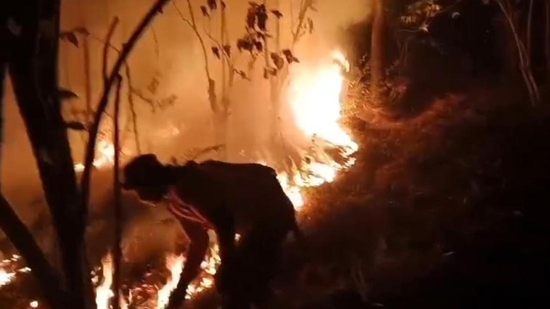 1.109 Hektare Lahan di Jabar Terbakar Sepanjang 2026