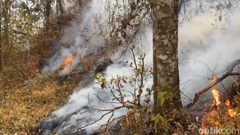 Kebakaran Gunung Arjuno-Welirang Hanya Menyisakan Titik Api di Kota Batu