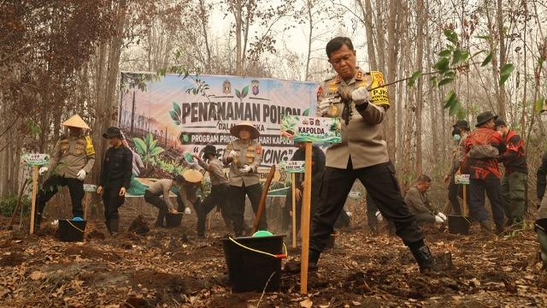 500 Pohon Belangiran Ditanam, Pulihkan Gambut Palangka Raya Bekas Karhutla