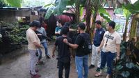 img-title