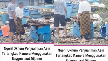 Viral Ikan Asin 'Disemprot Baygon', Kepala BPOM Buka Suara - Infolitik