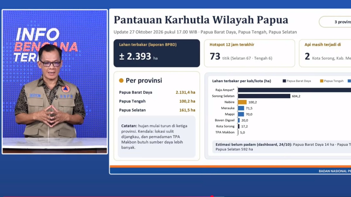 BNPB beberkan Kendala Padamkan Karhutla Papua, Termasuk di Raja Ampat