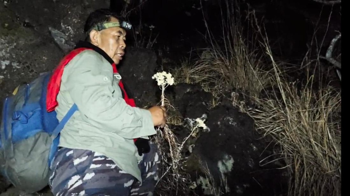Geger Karhutla Ciremai, Edelweis Abadi Berubah Jadi Arang