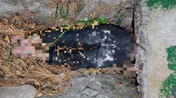 Wanita di Bandar Lampung Tewas Terikat dalam Parit, Ada Luka Cekik di Leher - Infolitik