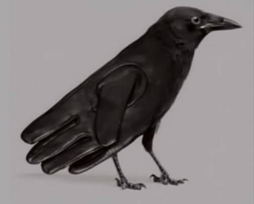 Tes kepribadian ilusi optik, burung gagak atau sarung tangan yang pertama dilihat. Tes ini mengungkapkan tentang kekuatan tersembunyi seseorang