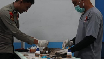 Dukung Pengendalian Populasi, Ditpolsatwa Polri Gelar Sterilisasi Kucing di Jakarta - Infolitik