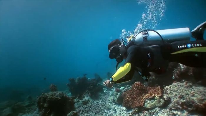 Datang ke Sapokren Raja Ampat Kalau Ngaku Suka Menyelam