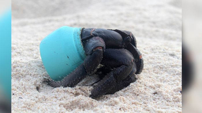 Sedih, Pantai yang Dulunya Cantik Kini Penuh Sampah