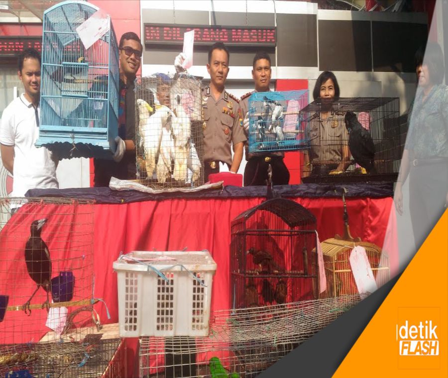 Penyelundupan Hewan Langka Digagalkan Polisi