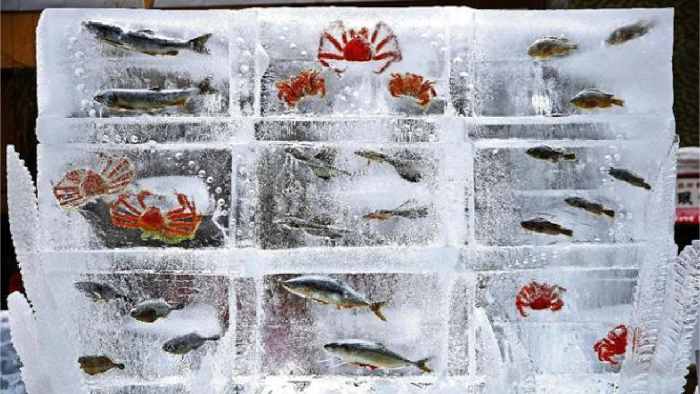 Pamerkan Ikan Beku Lagi, Festival Salju di Jepang Dikecam