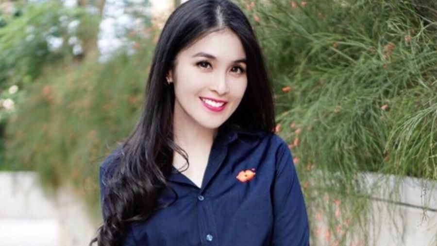 Si Cantik Sandra Dewi Hamil