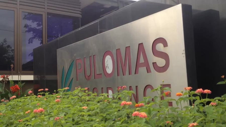 Sang Guru Bicara Sosok Diona, Korban Pembunuhan di Pulomas