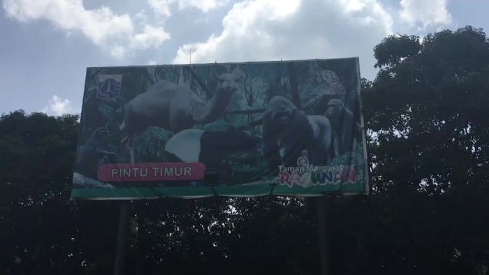 Taman Margasatwa Ragunan, Destinasi Murah untuk Liburan Tahun Baru