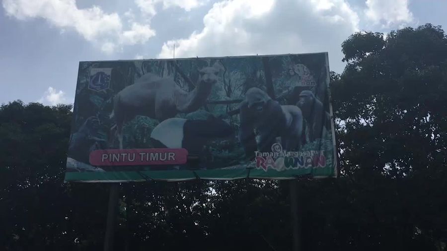 Taman Margasatwa Ragunan, Destinasi Murah untuk Liburan Tahun Baru