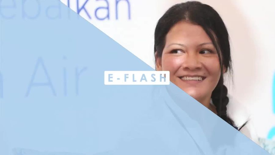 Setelah Beruang, Lumba-lumba Diangkut Pesawat Hebohkan Netizen