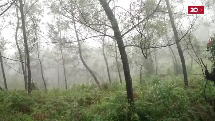 Cara Mudah Sejukkan Mata di Gunung Lawu
