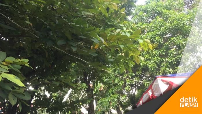 Antusiasme Warga DKI Jelang Pencoblosan