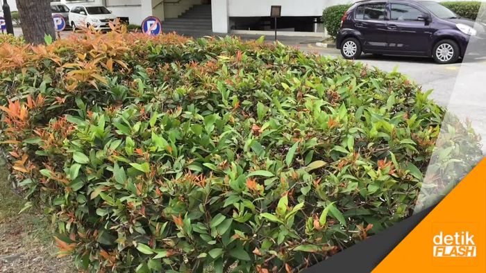 Siti Aisyah Dikabarkan Ditangkap di Hotel Ini