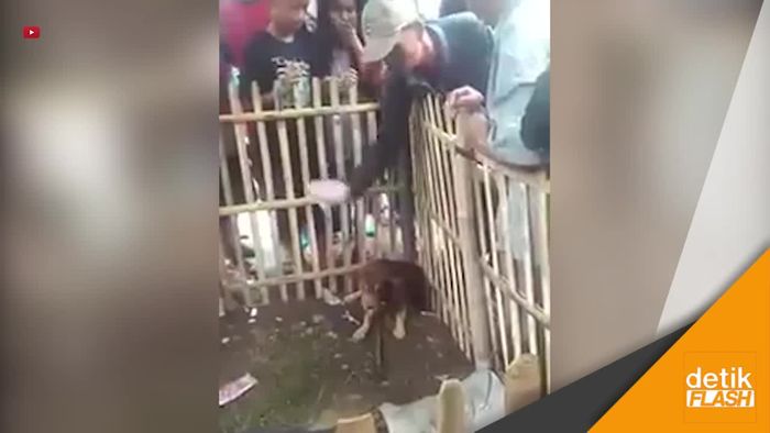 Anjing Dikira Jelmaan Babi Ngepet di Panongan Tangerang