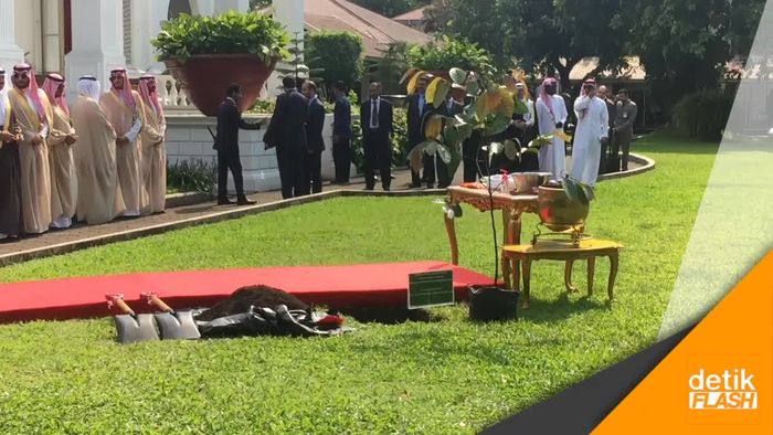 Makna di Balik Tanam Pohon Ulin Jokowi-Raja Salman