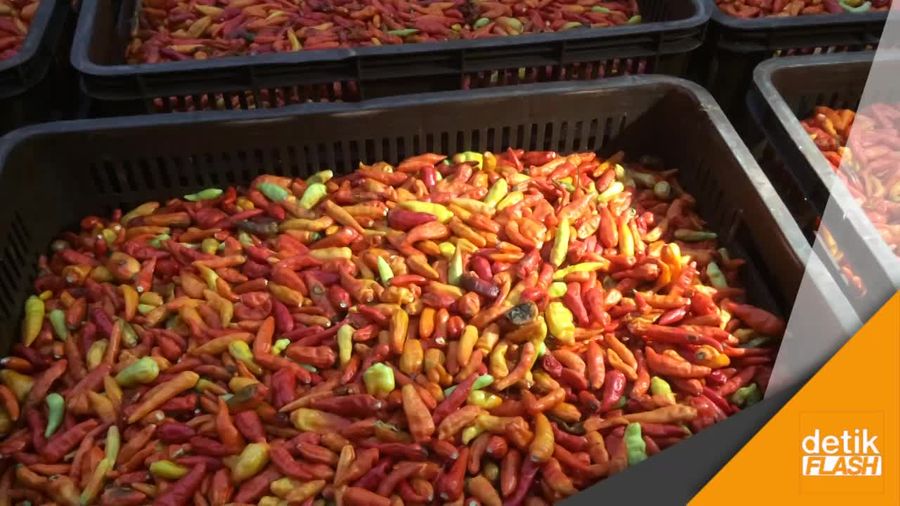 Mabes Ungkap Sebab Harga Cabai Meroket