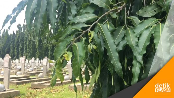 Mantan Mendagri Maruf Tutup Usia