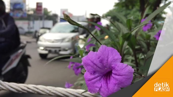 Urai Kemacetan, Margonda Uji Coba Contra Flow