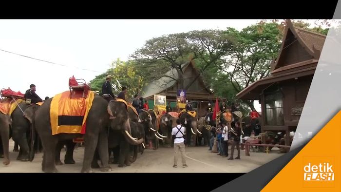  Perayaan Hari Gajah di Thailand