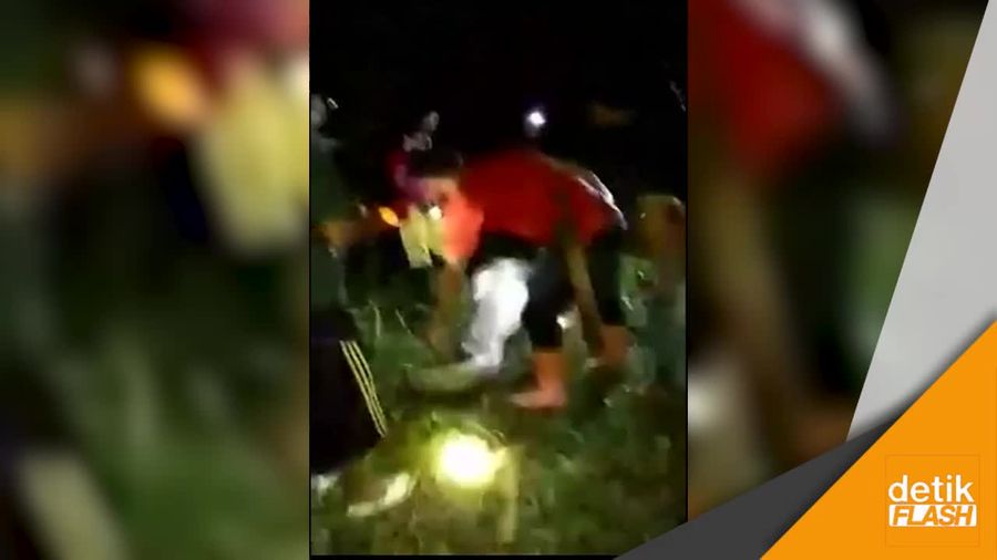 Warga Mamuju Ditelan Ular Piton 7 Meter