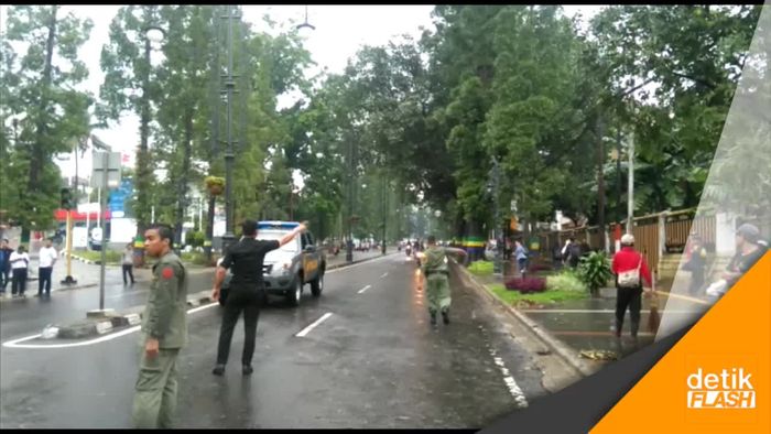 Bandung Hujan Badai, 41 Pohon Tumbang